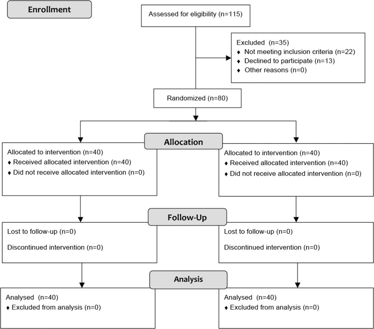 Figure 1. CONSORT 2010 flow diagram.