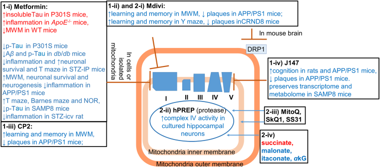 Figure 5