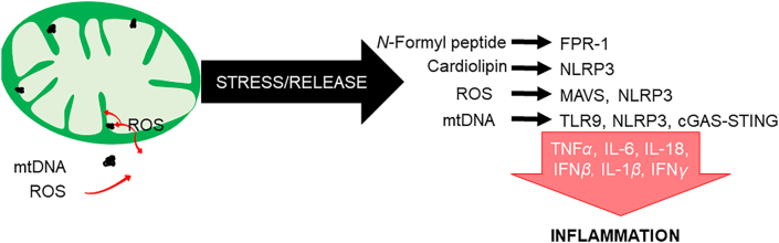 Figure 7