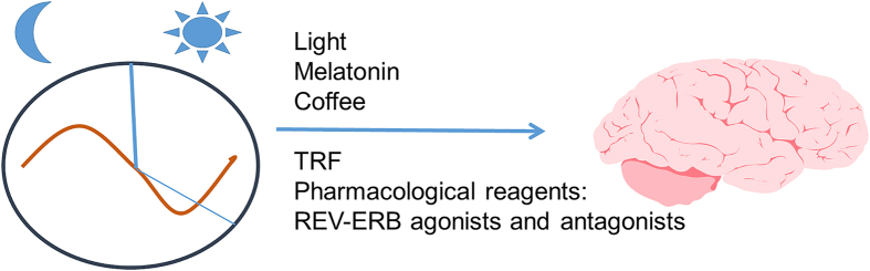 Figure 3