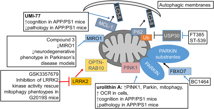 Figure 6