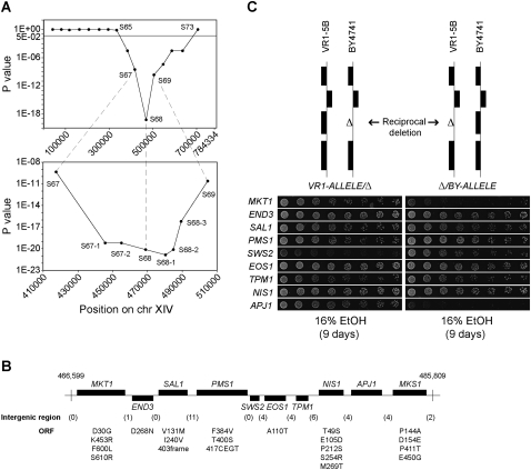 Figure 4.