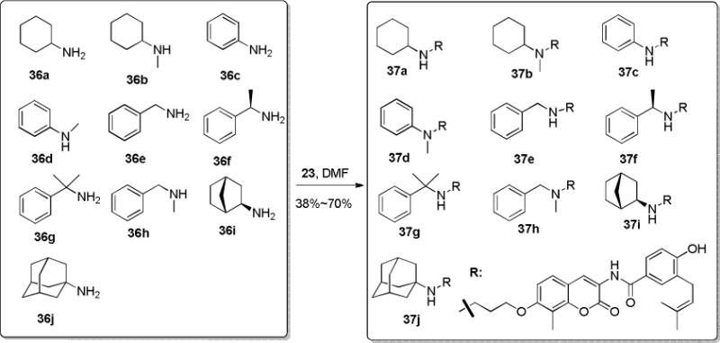 Scheme 4