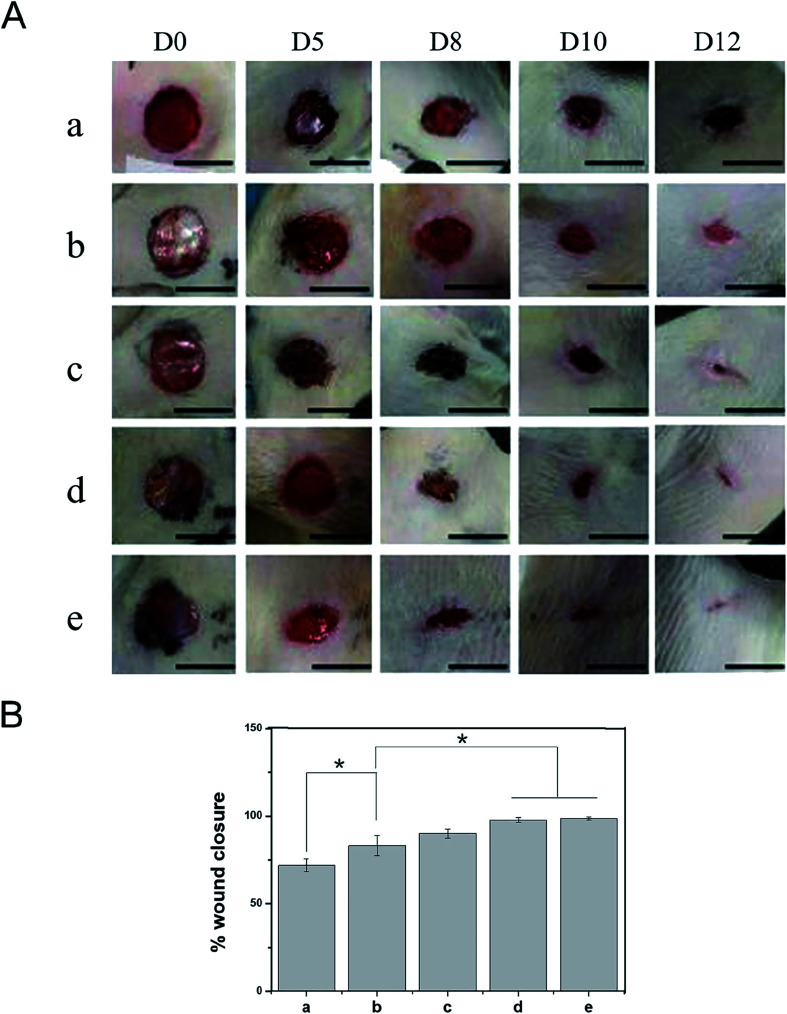 Fig. 7