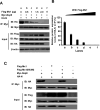 Fig 8