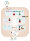 Fig 10