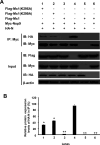 Fig 9