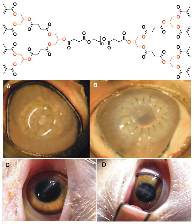 Figure 18