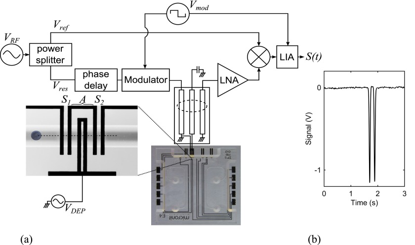 FIG. 2.