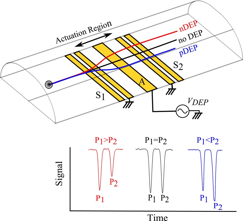 FIG. 3.