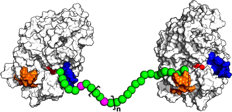 Fig. 10.