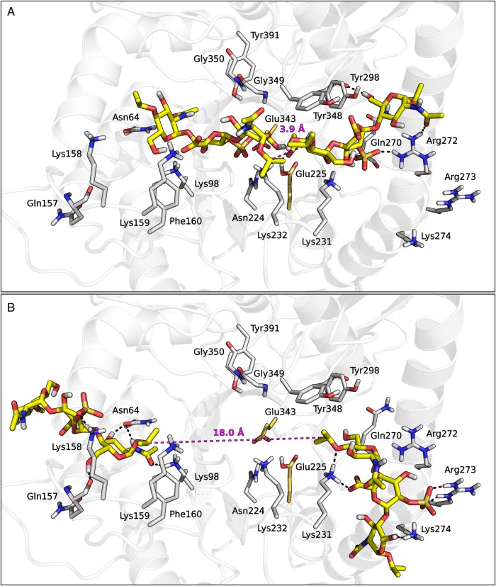 Fig. 9.