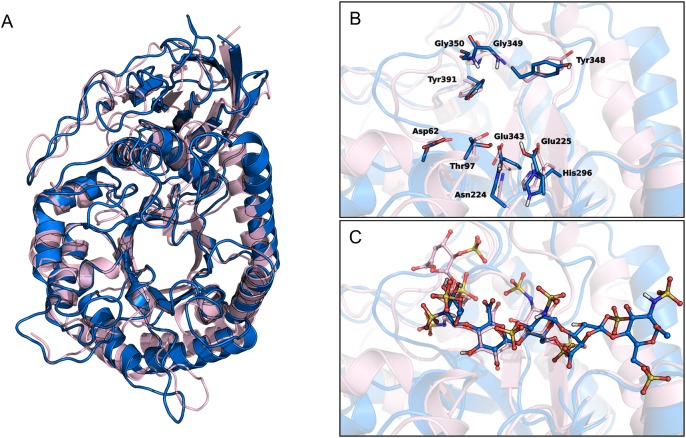 Fig. 7.