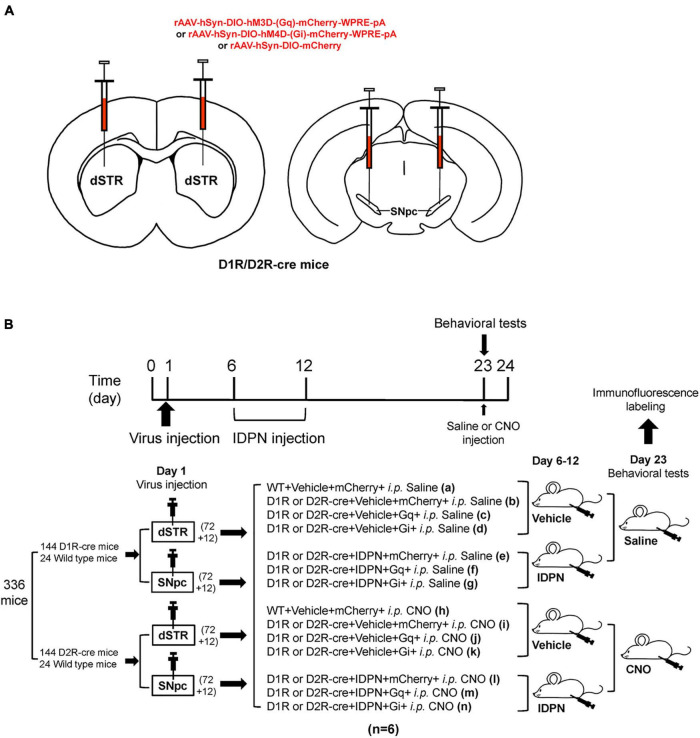 FIGURE 1