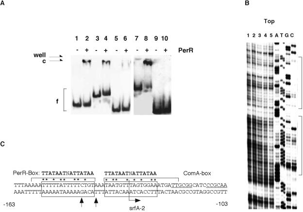 FIG. 5.