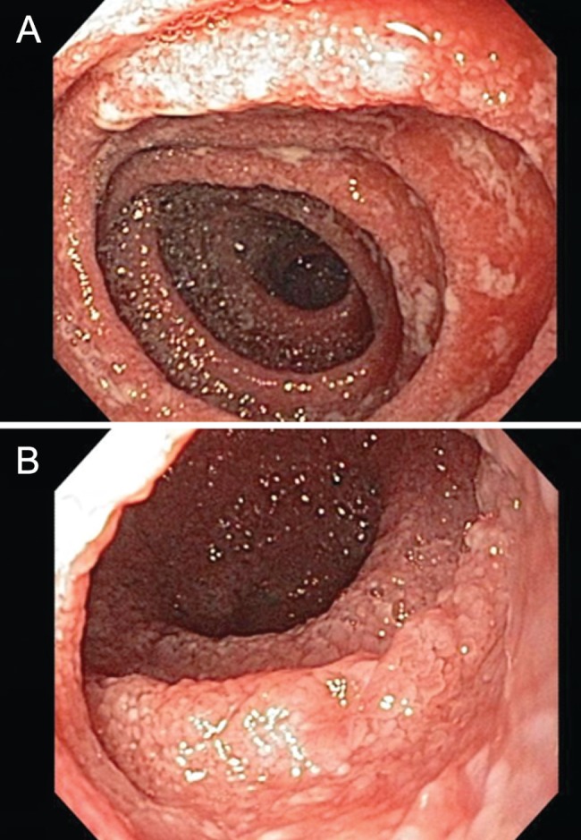 Figure 2)