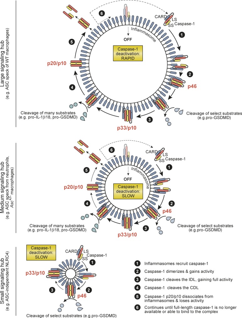 Figure 6.