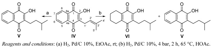 Scheme 2