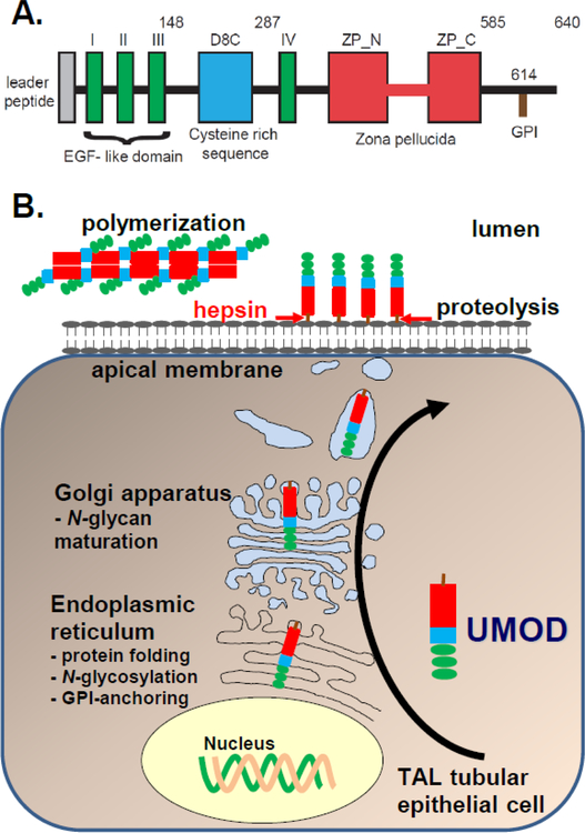 Figure 1: