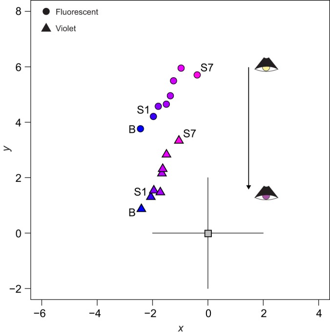 Fig. 2.