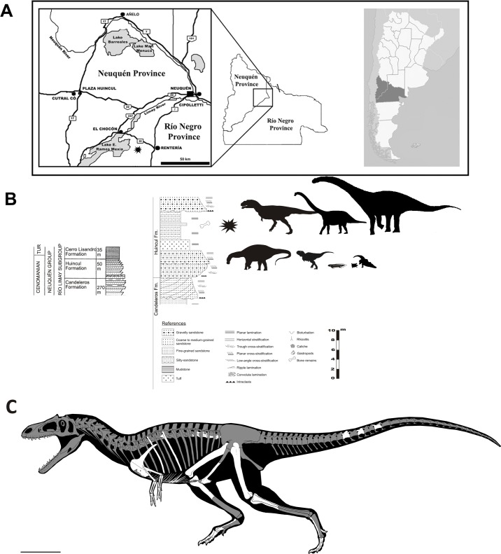 Fig 1