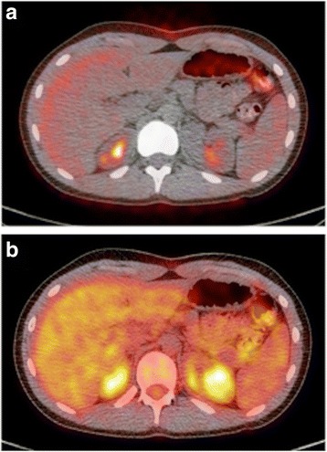 Fig. 6