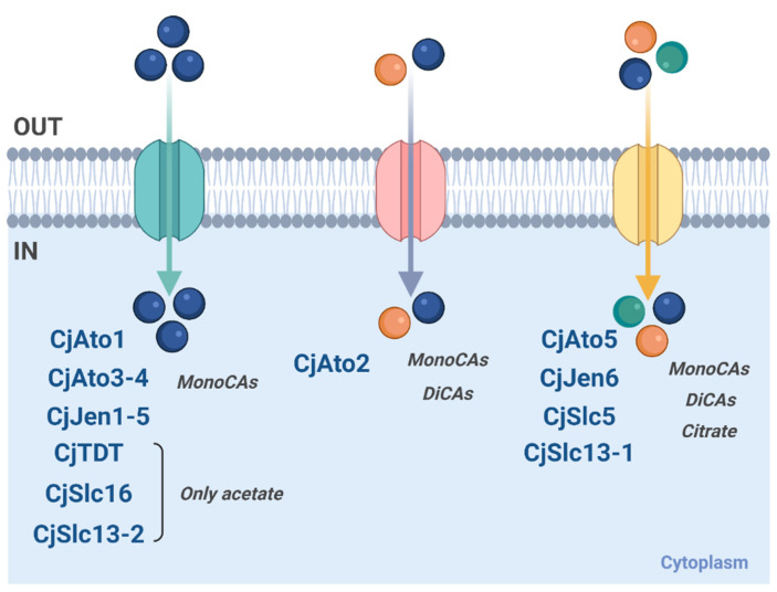 Figure 10