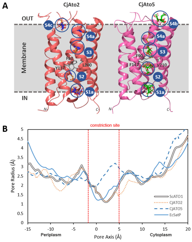 Figure 6