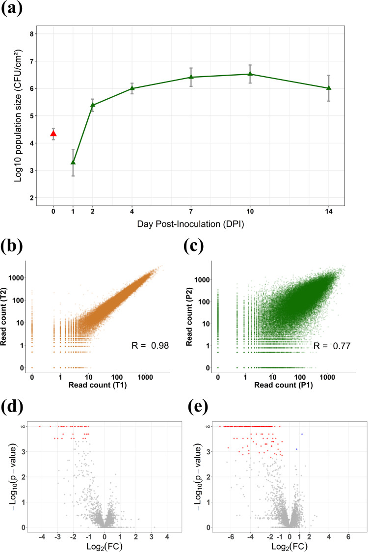 FIG 1