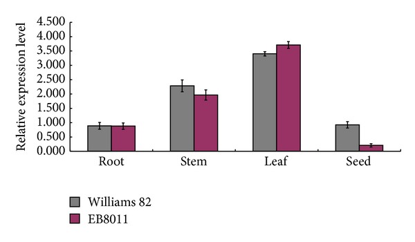 Figure 5