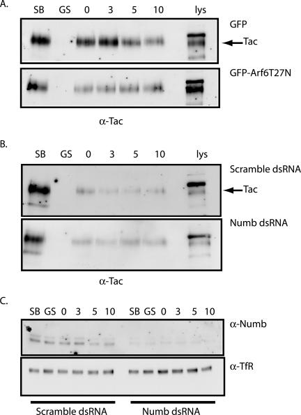 Figure 9.