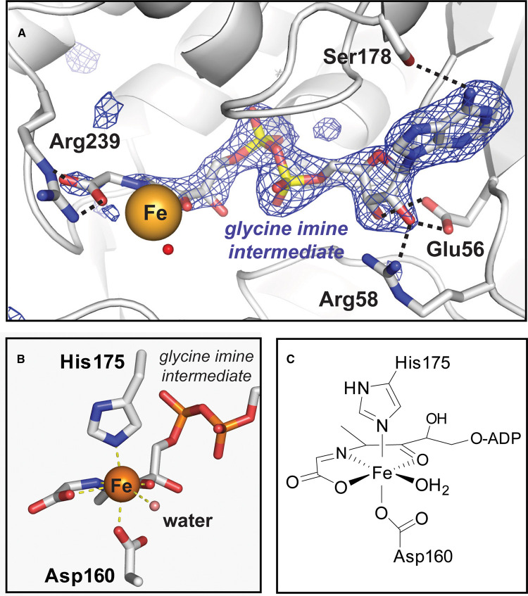 Figure 6.