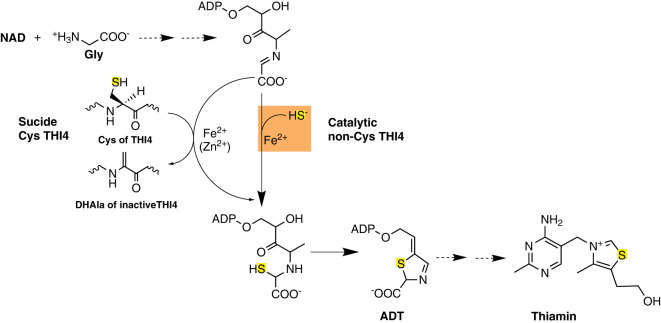 Figure 1.