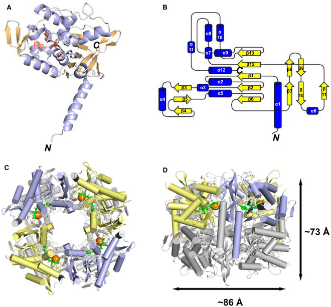 Figure 5.