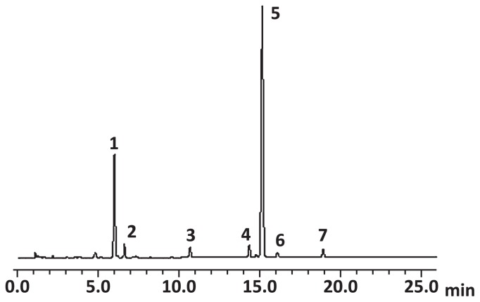 Fig. 1