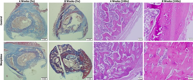 Fig. 4