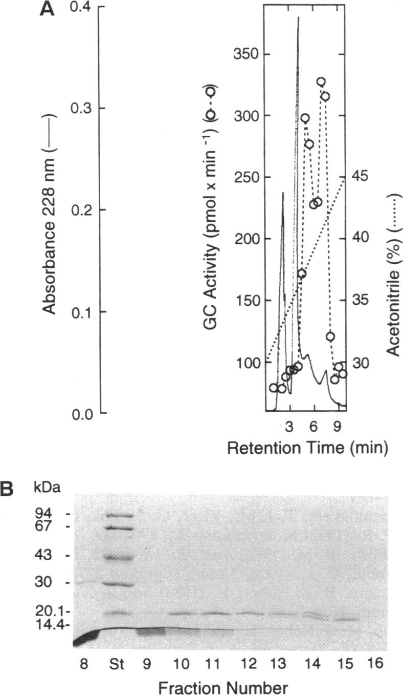 graphic file with name pnas01131-0549-a.jpg