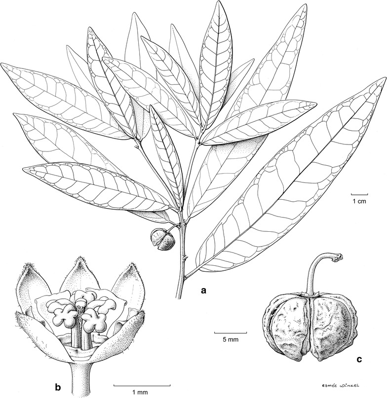 Fig. 2