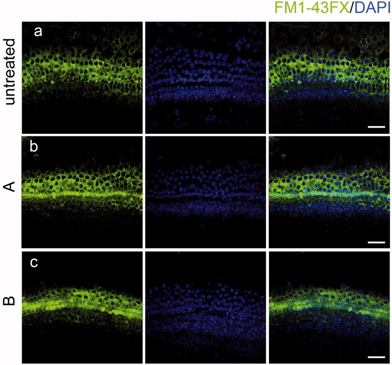 Figure 6.