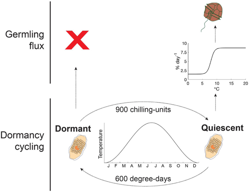 Fig. 8.