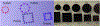 Fig. 13.