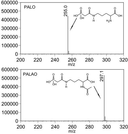 FIG. 7.