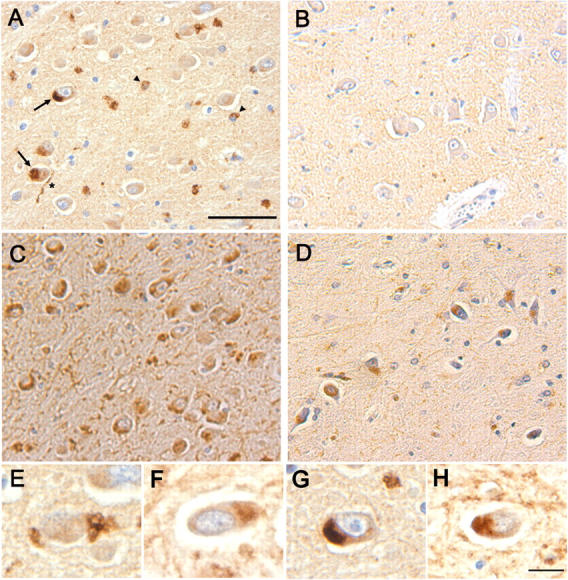 Figure 10.