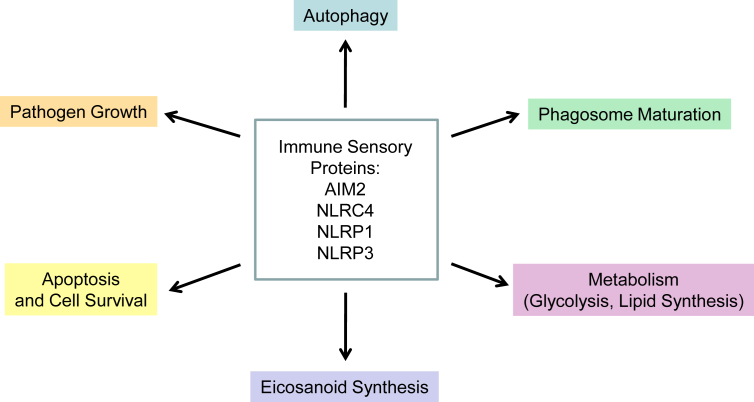 Fig. 2