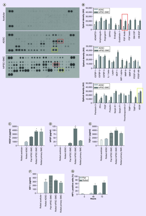 Figure 2. 