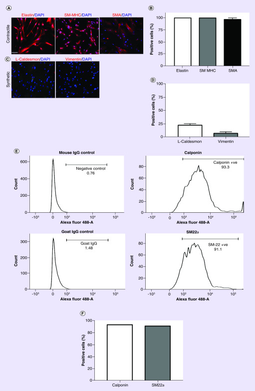 Figure 1. 