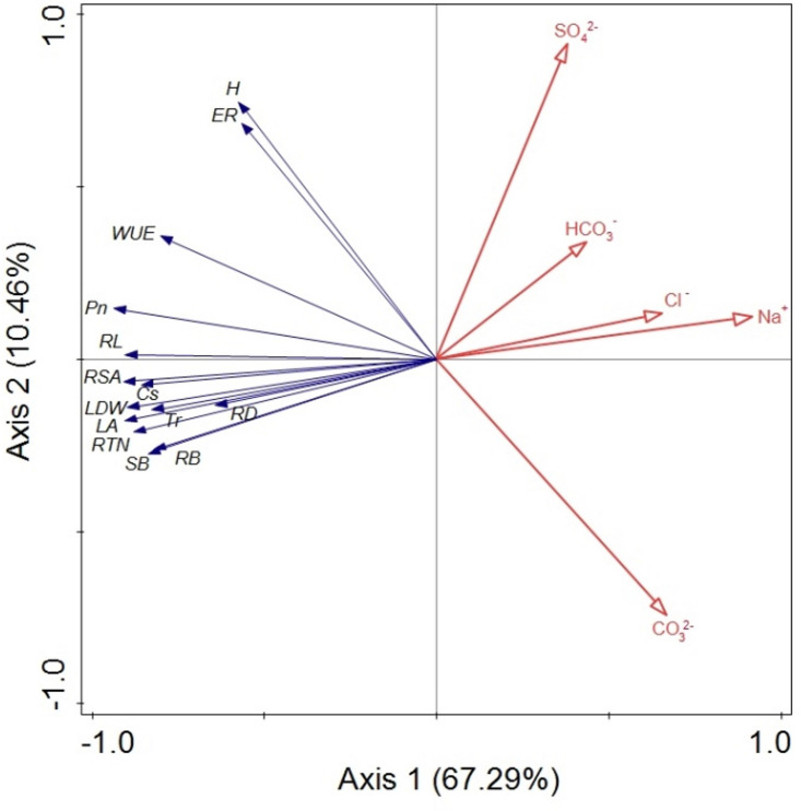 FIGURE 6