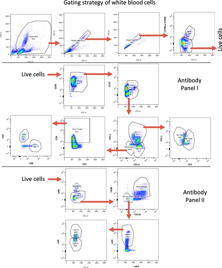 Figure 5—figure supplement 5.