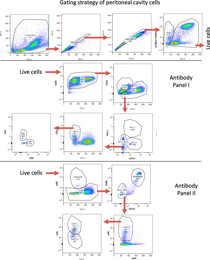 Figure 5—figure supplement 6.