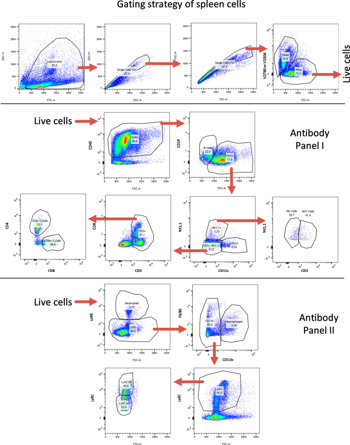 Figure 5—figure supplement 1.